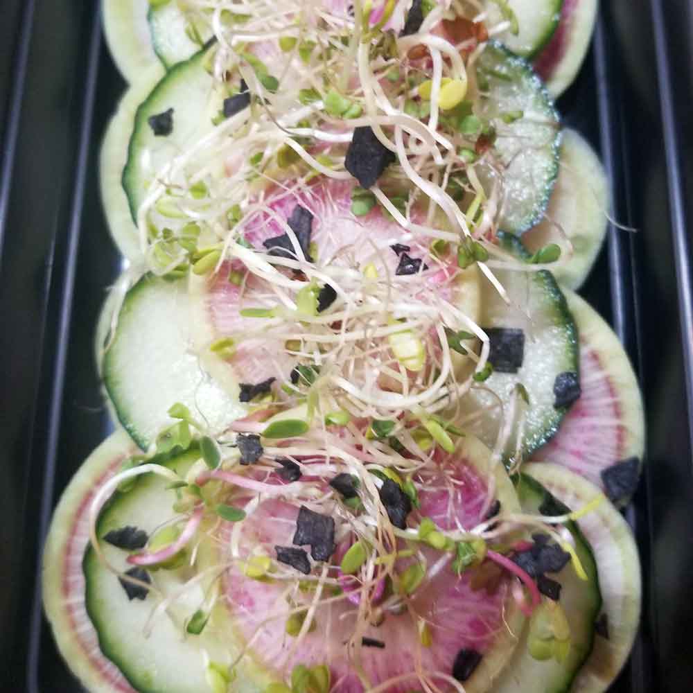 Watermelon-radish-cucumber-salad-with-micro-greens
